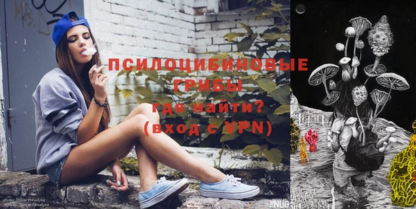 Альфа ПВП Осташков