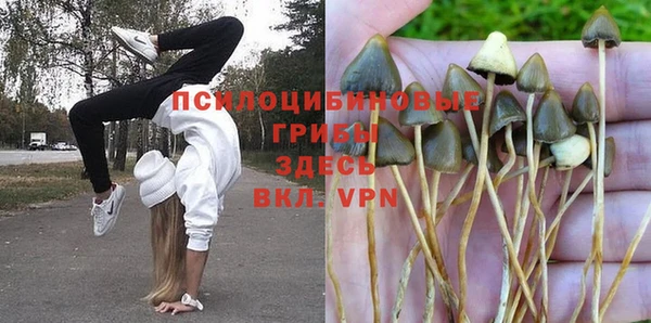 винт Остров