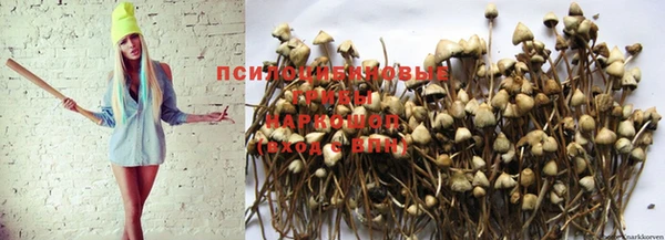 Альфа ПВП Осташков