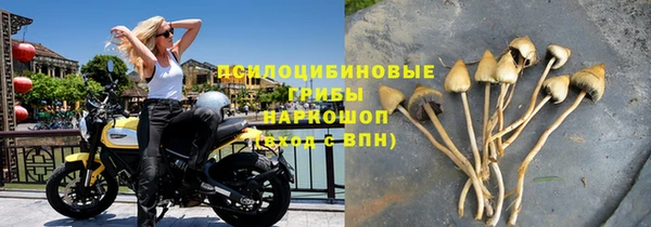 круглые Осинники