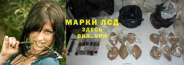 круглые Осинники