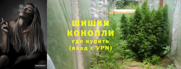 круглые Осинники