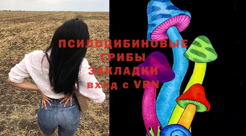 Псилоцибиновые грибы ЛСД  Выборг 