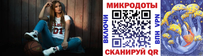 Псилоцибиновые грибы Psilocybe  Выборг 