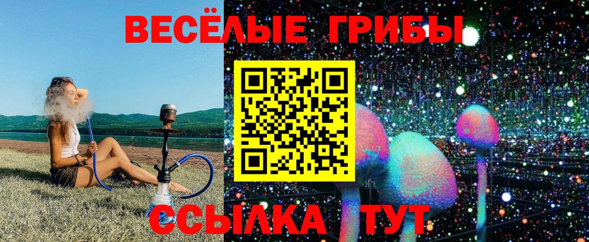 Галлюциногенные грибы прущие грибы  Выборг 