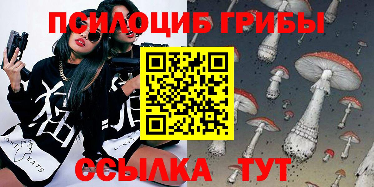 Псилоцибиновые грибы MAGIC MUSHROOMS Выборг